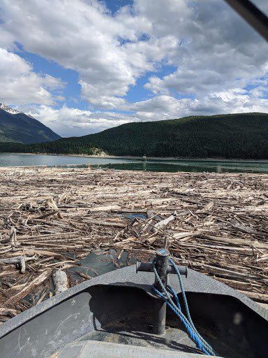 This photo (taken by Murray Chapple) clearly shows the importance of the debris removal program with floating wood collected using a long floating log boom towed behind a tugboat.