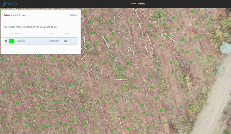 precision agriculture - example of counting saplings