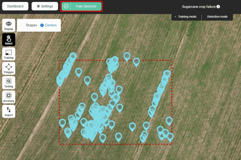 The results of detecting sugarcane gaps on the Picterra platform. Image copyright: Indshine.